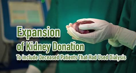 There’s a severe kidney shortage. Should donors be .